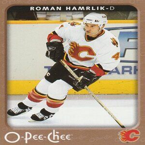Roman Hamrlik - 2006/2007 O Pee Chee Hockey Card